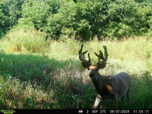 E 0670TH ROAD, YALE, OK 74085 - Image 1