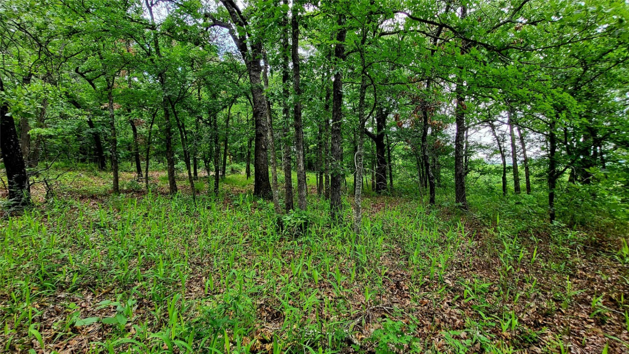 0000 E 84 HIGHWAY, WELEETKA, OK 74880, photo 1 of 20