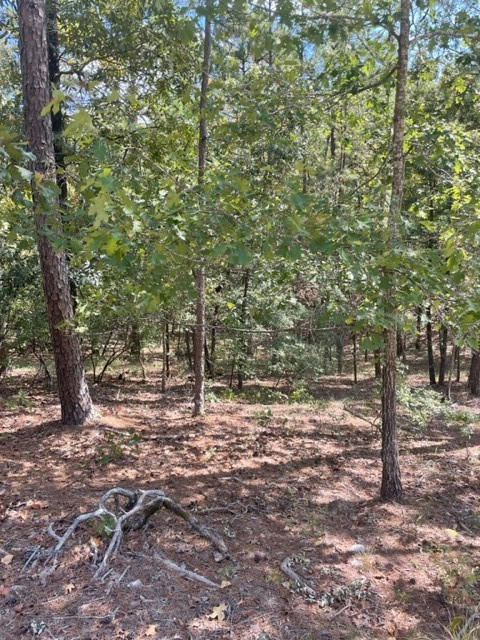 2 KINGFISHER TRAILS SUBDIVISION, BROKEN BOW, OK 74728, photo 1 of 13