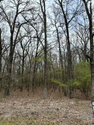 LOT 8 BLK 1 LAKEWOOD PARK, EUFAULA, OK 74432, photo 4 of 34